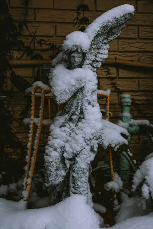 New Orleans photograph by Eugene Bellau