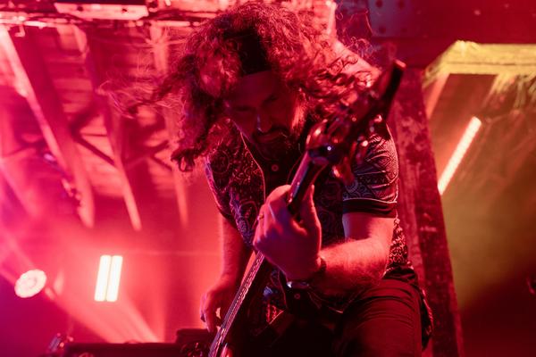 Pigeons Playing Ping Pong